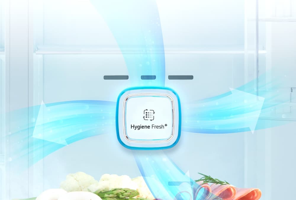 LG Refrigerator 2D 20.9 CuFt | WiFi |Bar Handle |Touch LED Display |Multi Air Flow |Hygiene Fresh+|Silver - Modern Electronics