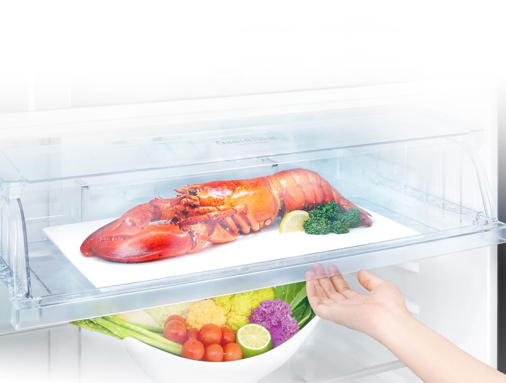 LG Refrigerator 2D 20.9 CuFt | WiFi |Bar Handle |Touch LED Display |Multi Air Flow |Hygiene Fresh+|Silver - Modern Electronics
