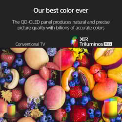 https://m2.me-retail.com/pub/media/catalog/product/8/1/81h_bcza20l._ac_sl1500_.jpg thumb