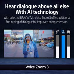 https://m2.me-retail.com/pub/media/catalog/product/v/o/voice_zoom_3_with_bravia.jpg thumb